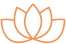Orange outline of a lotus flower on a white background